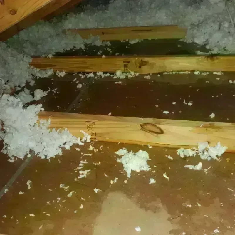 Attic Water Damage in Johnson County, NE