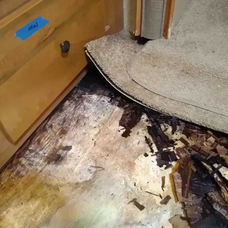 Best Wood Floor Water Damage Service in Johnson County, NE